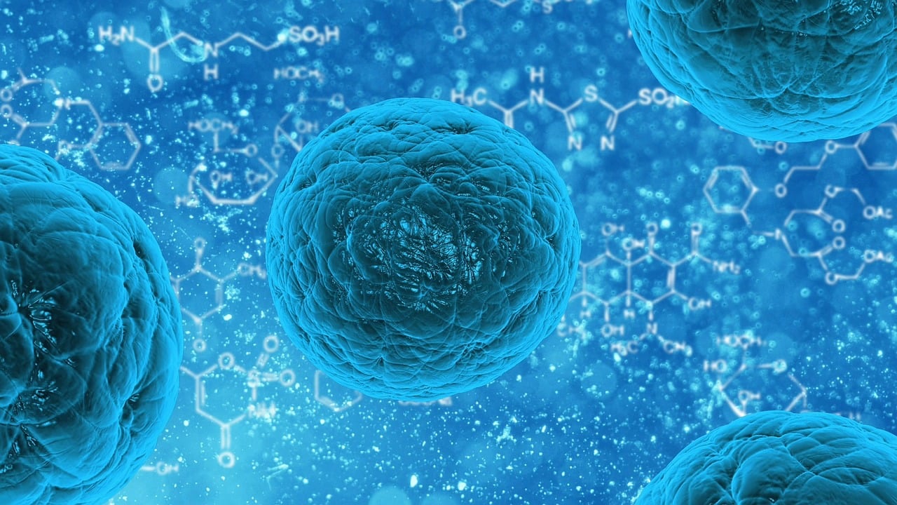 entdecken sie die neuesten trends und innovationen im gesundheitswesen. erfahren sie, wie digitale technologien und moderne praktiken die patientenversorgung optimieren und das gesundheitswesen revolutionieren.