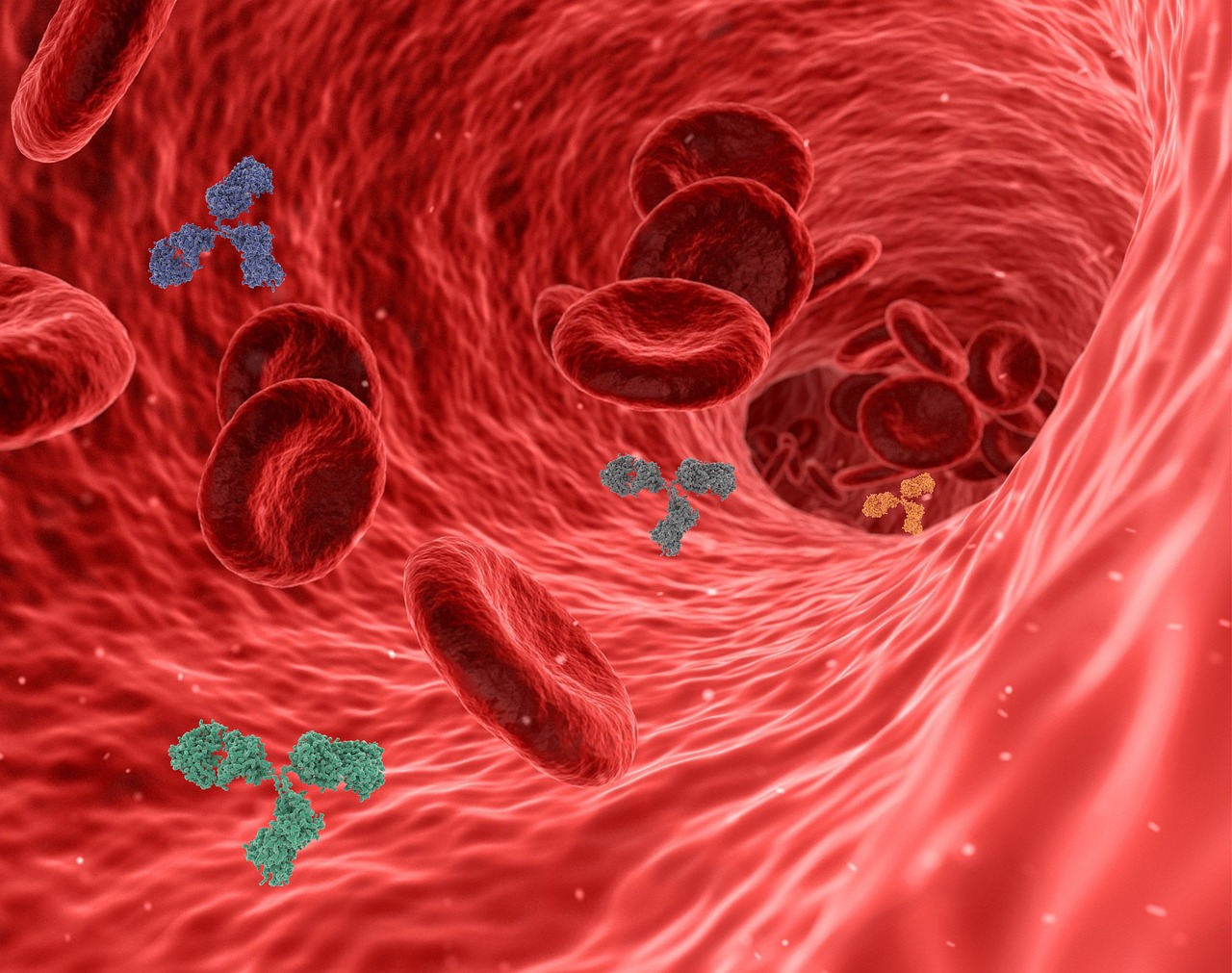 entdecken sie die faszinierende welt des immunsystems! erfahren sie, wie ihr körper krankheiten bekämpft, welche faktoren die immunität beeinflussen und wie sie ihre abwehrkräfte auf natürliche weise stärken können.