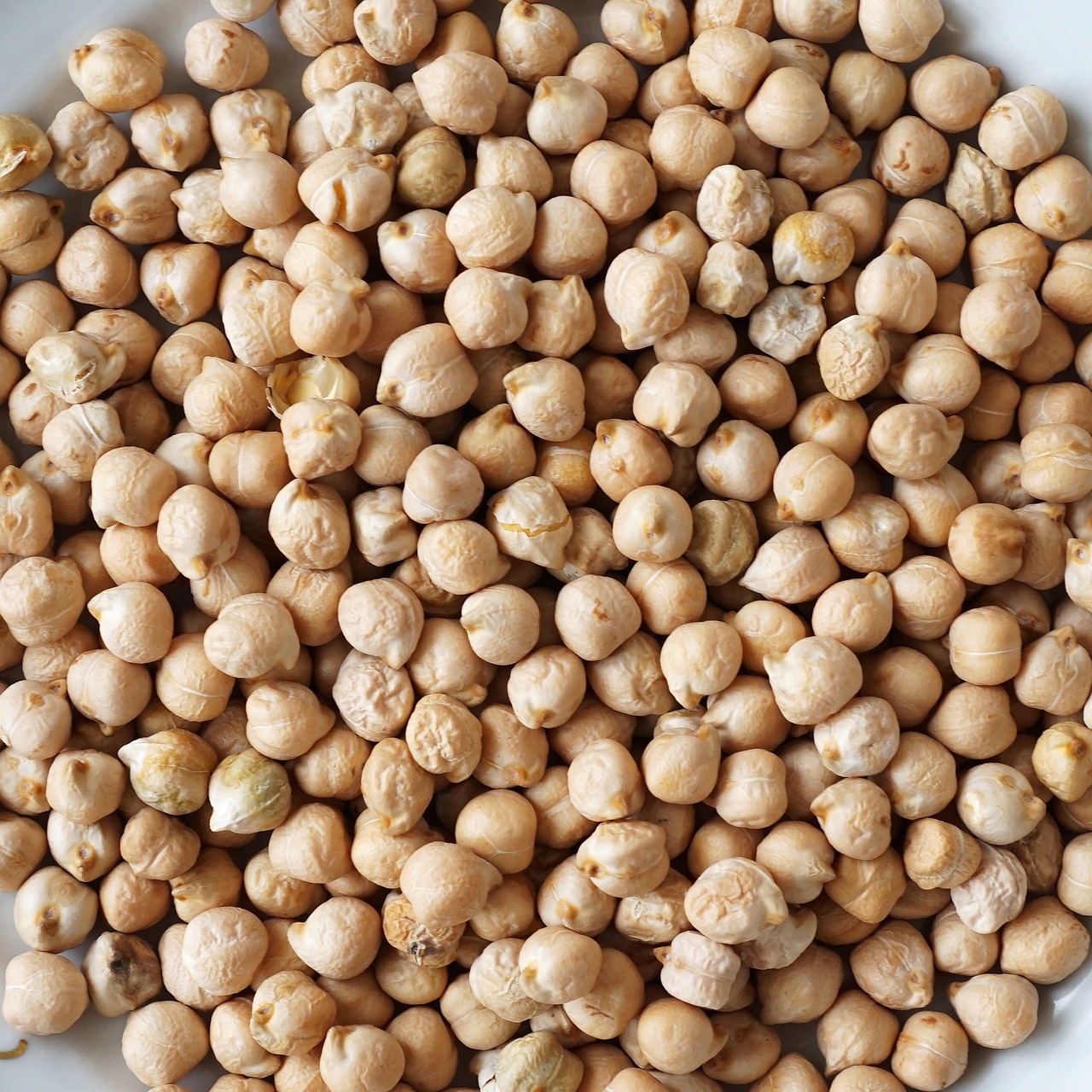 Warum wird vegetarische Ernährung immer beliebter?