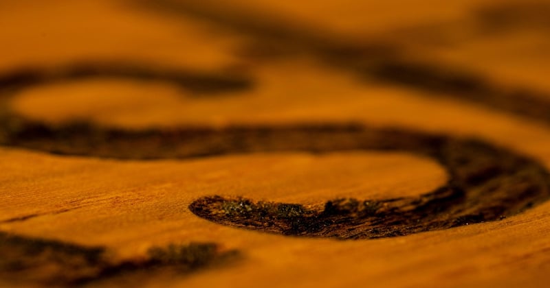 Holz lasieren leicht gemacht: Anleitung, Tipps und Fehler vermeiden