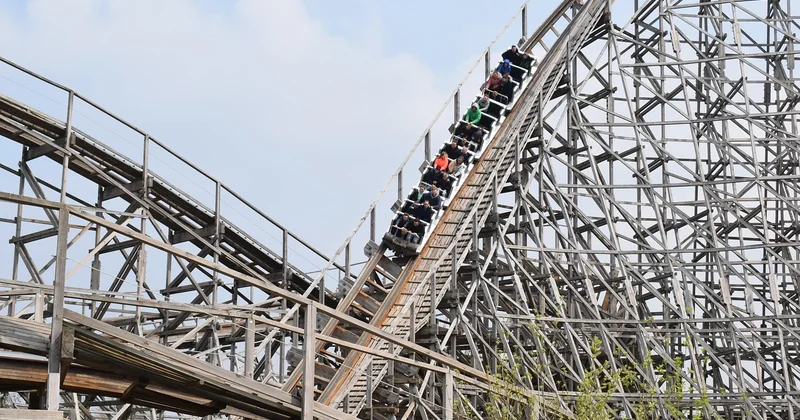 Hochbeet selbst bauen aus Holz: Welches Holz taugt?
