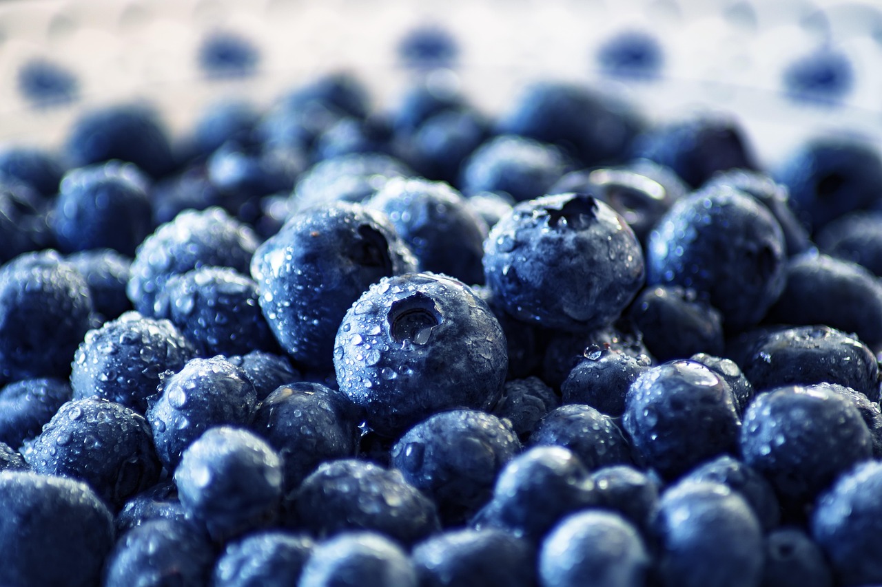 entdecken sie die welt der superfoods! erfahren sie, welche gesunden lebensmittel ihre ernährung bereichern, wie sie ihren körper stärken und mehr energie im alltag liefern können.