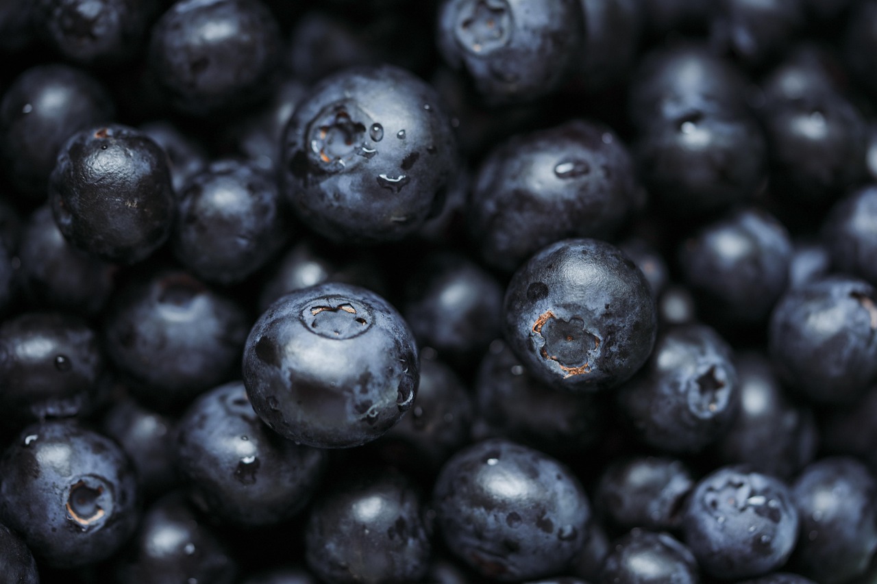 entdecken sie die welt der superfoods: erfahren sie, welche lebensmittel besonders nährstoffreich sind, welche vorteile sie für ihre gesundheit bieten und wie sie sie einfach in ihren alltag integrieren können.
