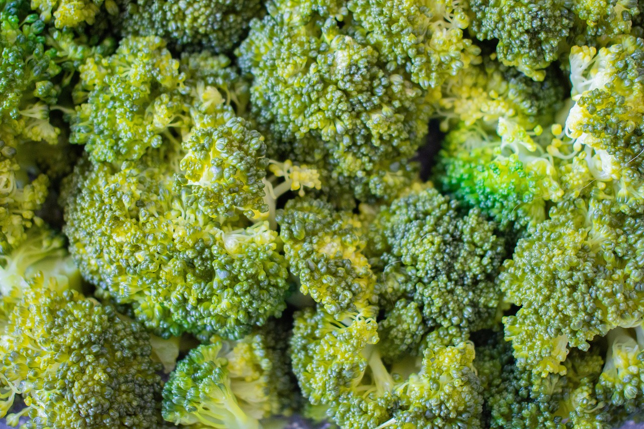 vegetarismus: entdecken sie die vorteile einer vegetarischen ernährung, gesunde rezepte, tipps für den einstieg und interessante fakten über fleischlose lebensweisen.